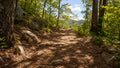 Trail scene
