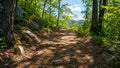Trail scene