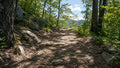Trail scene